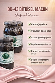 Bağırsak macunu